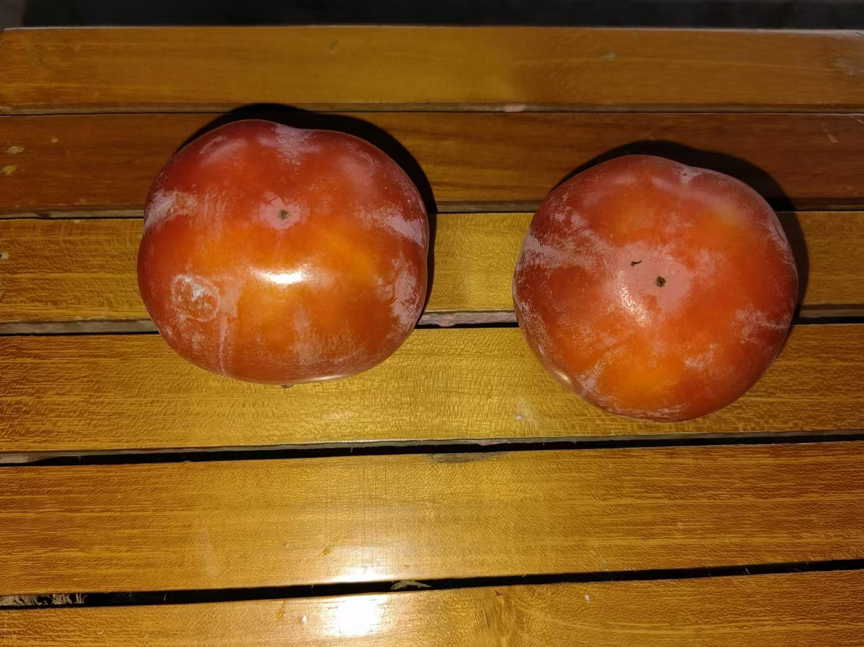 柿叶茶成品图