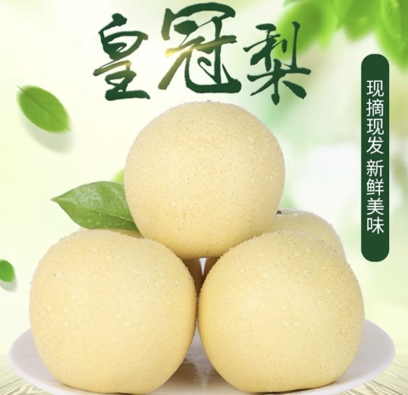 安徽砀山皇冠梨