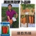 正品中农绿亨驰誉五寸胡萝卜种子高产甜脆黑田胡萝卜种籽秋露