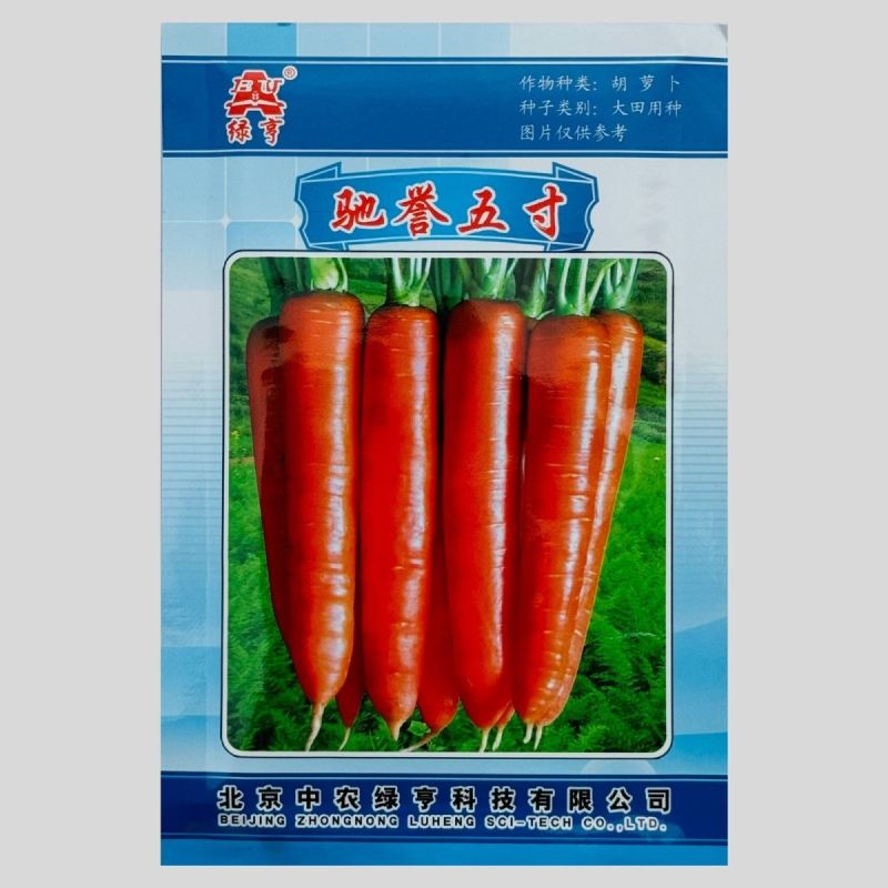 正品中农绿亨驰誉五寸胡萝卜种子高产甜脆黑田胡萝卜种籽秋露