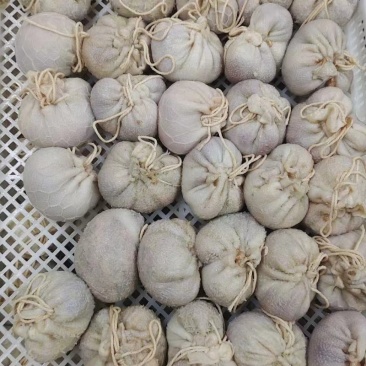 肚包肉，新肚，鲜肉，使用新鲜羊肉，新鲜羊肚，精心调制。
