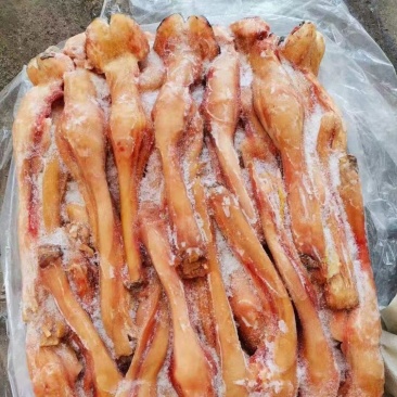 驴蹄筋马蹄筋精品驴蹄筋纯主筋颜色鲜质量好出肉率高