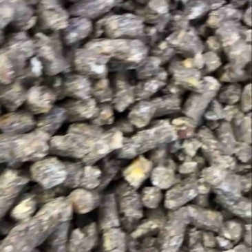 牛羊草颗粒