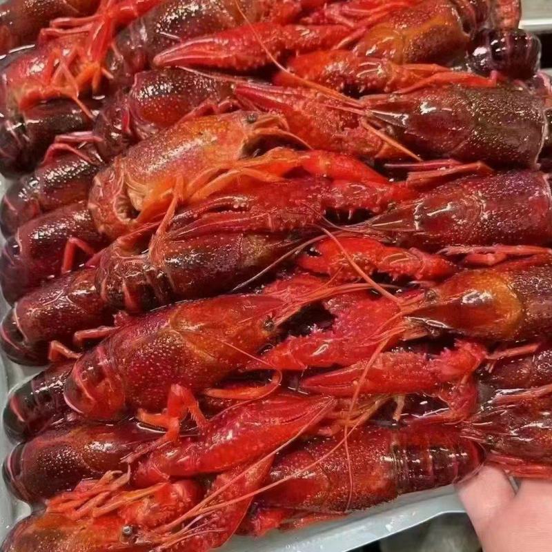 液氮清水虾