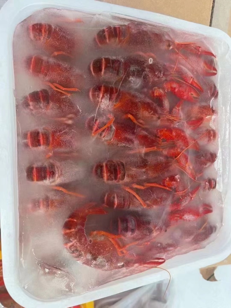 液氮清水虾