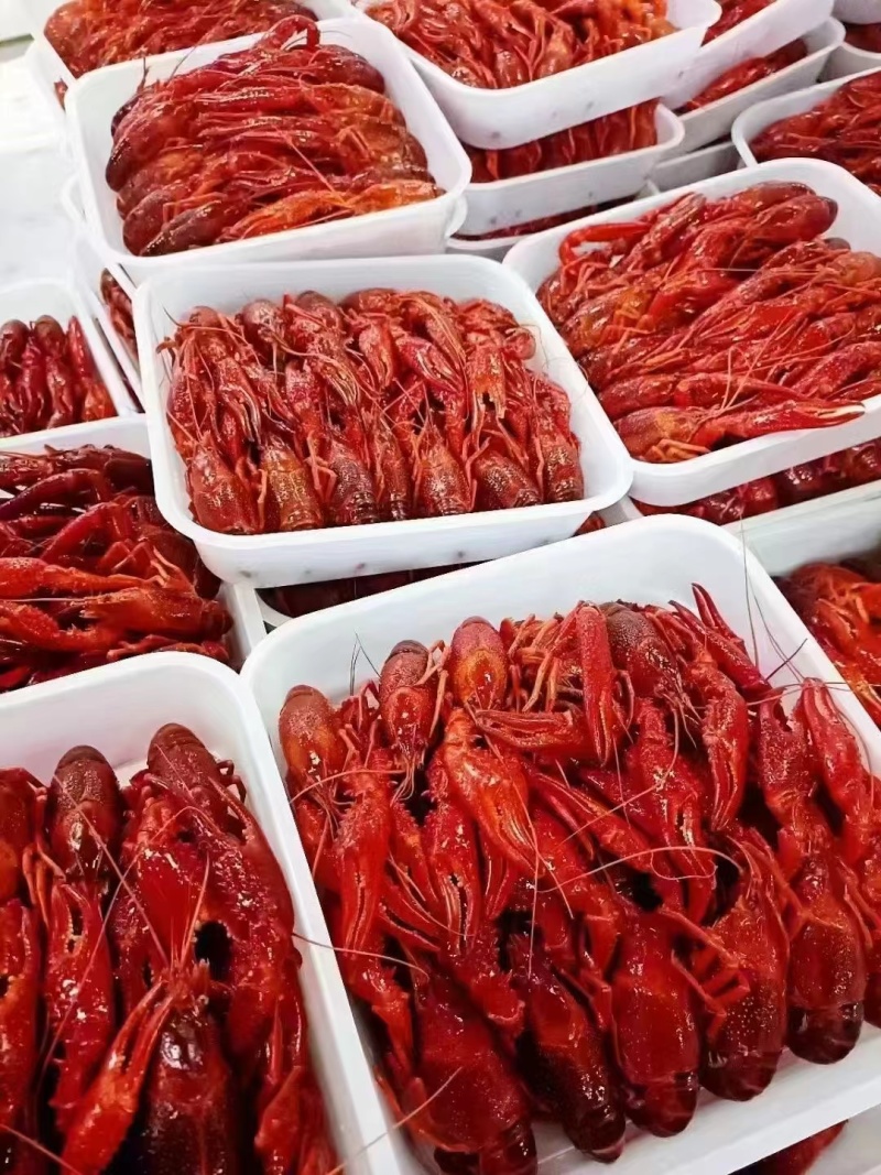 液氮清水虾