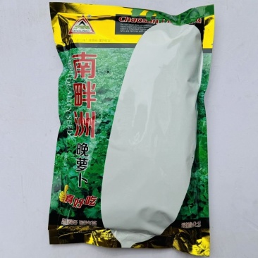 南畔洲白萝卜种子春不老高产不空心耐寒冬性强丰产抗大田基地