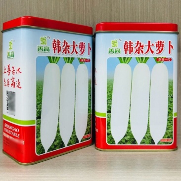 善高韩杂大萝卜种子耐抽苔不糠心抗病耐寒早熟春不老大白萝卜