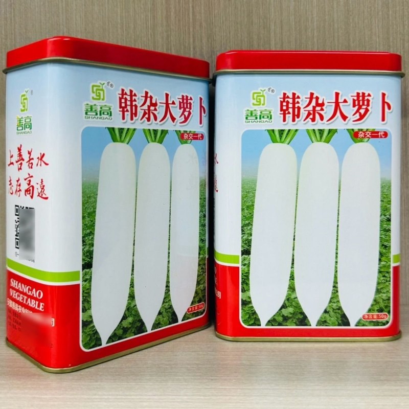 善高韩杂大萝卜种子耐抽苔不糠心抗病耐寒早熟春不老大白萝卜