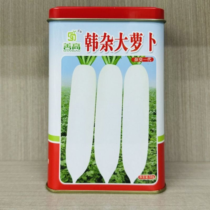 善高韩杂大萝卜种子耐抽苔不糠心抗病耐寒早熟春不老大白萝卜