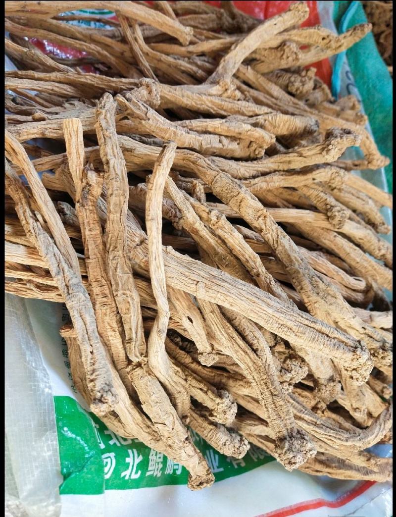 野生特大条，欢迎各位老板下单。