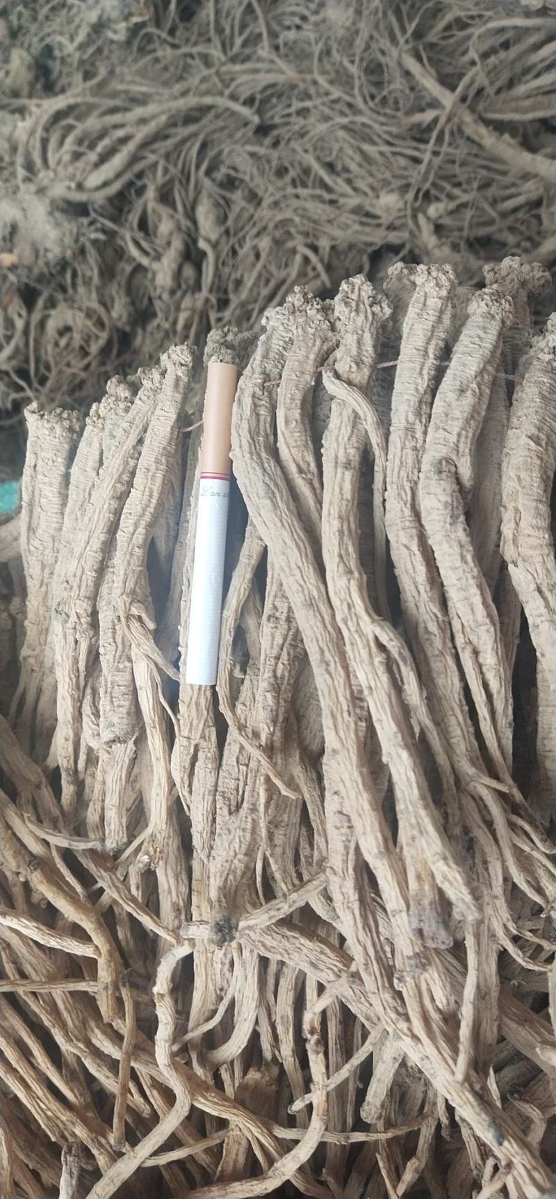 野生特大条，欢迎各位老板下单。