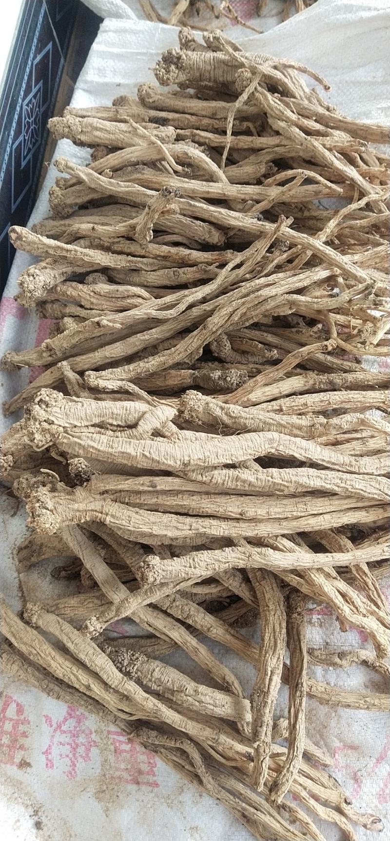野生特大条，欢迎各位老板下单。