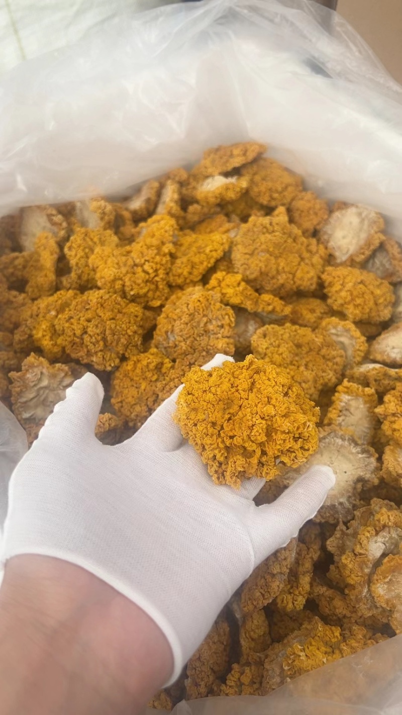 精品金耳干货