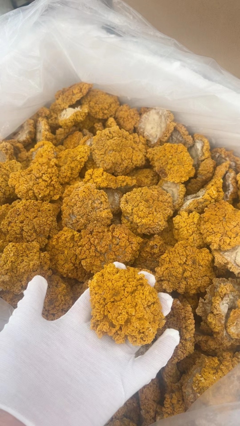 精品金耳干货
