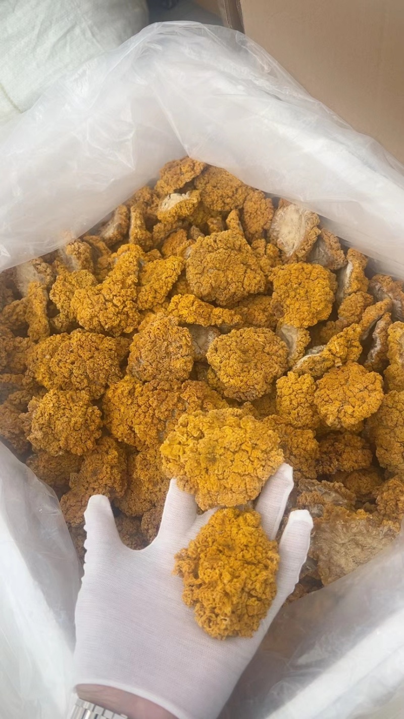 精品金耳干货