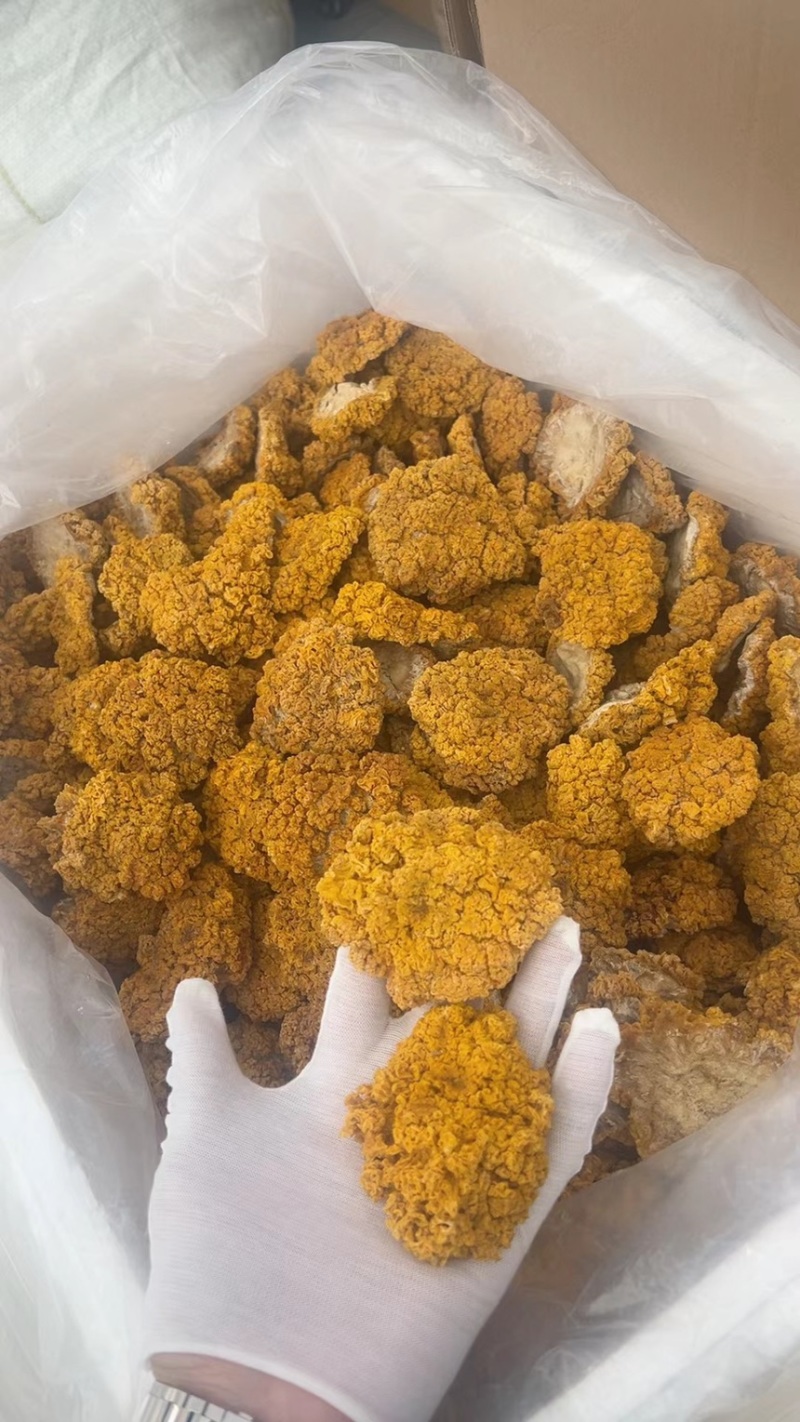 精品金耳干货