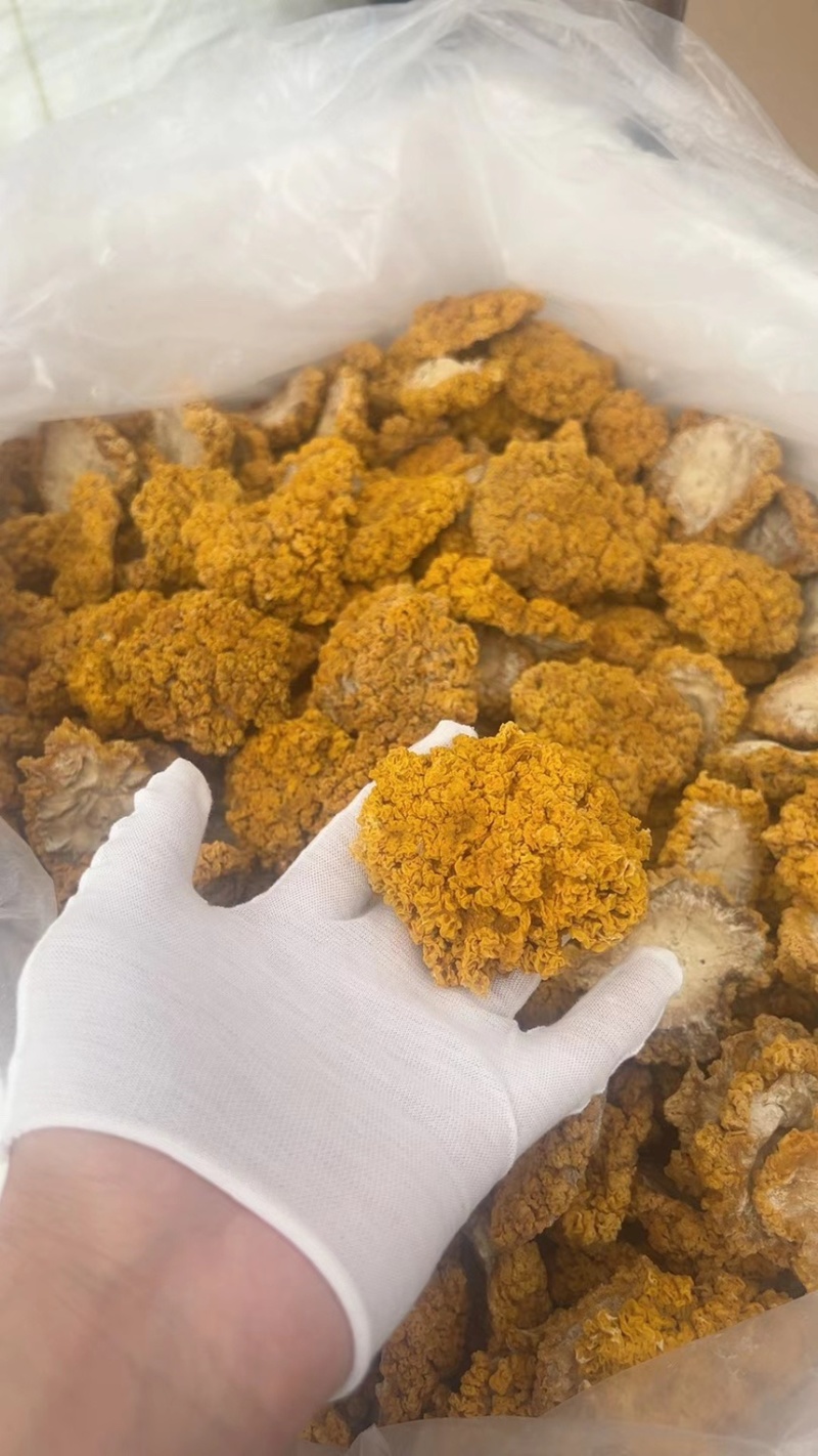 精品金耳干货
