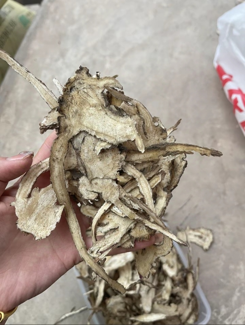 云南当归原产地直供价格美丽诱人货源充足保障