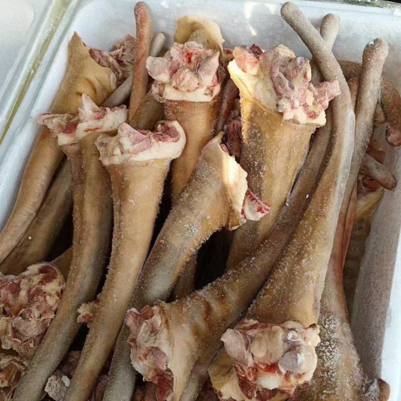 带皮马尾巴货源充足保质保量产地直发对接全国客商