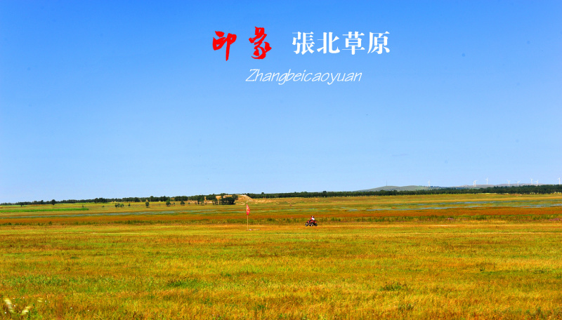 出租水浇地及旱地，有需要水浇地和旱地的朋友联系。