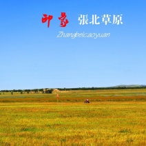 出租水浇地及旱地，有需要水浇地和旱地的朋友联系。