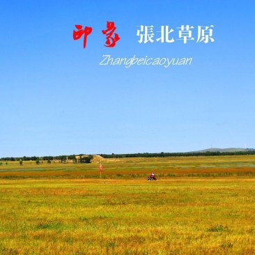出租水浇地及旱地，有需要水浇地和旱地的朋友联系。