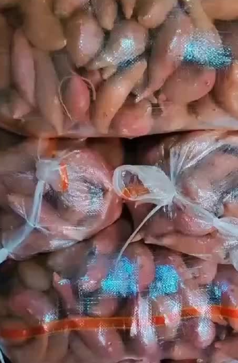 广西红薯/西瓜红/紫薯，大量现货，一手货源，全国发货。
