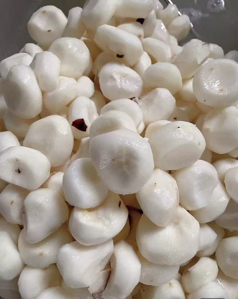 广西马蹄，水果马蹄，大量现货，价格便宜，产地代办全国发货