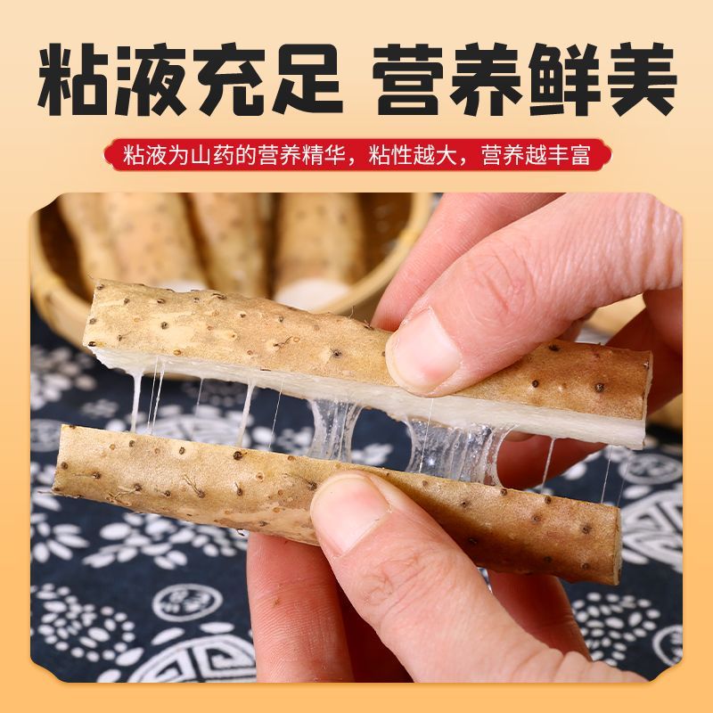 河南小白嘴白山药已大量上市，产地直发，保质保量，欢迎来电