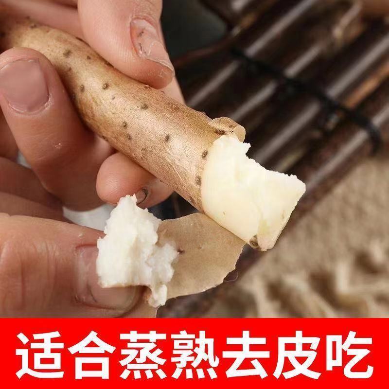 麻山药精品山药，价格优惠，品质保证，可视频看货