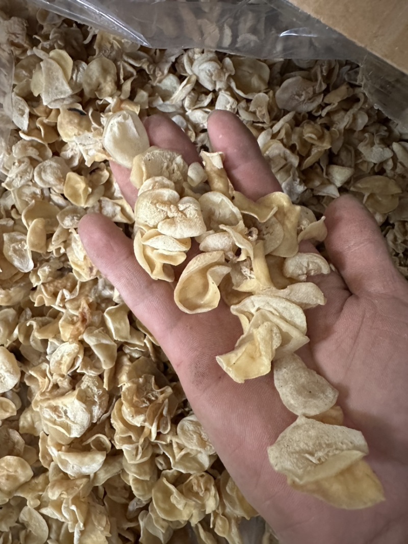 新货白玉木耳肉厚无根洁白，一件代发，电商，跑摊，零卖，