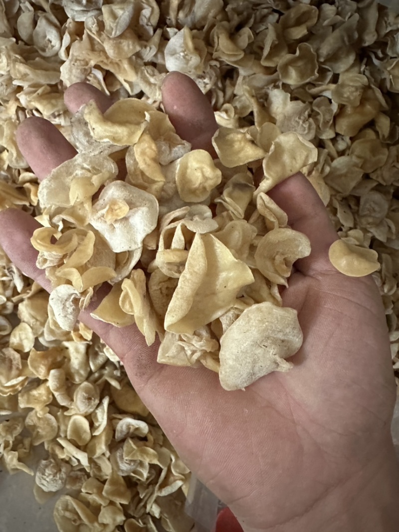 新货白玉木耳肉厚无根洁白，一件代发，电商，跑摊，零卖，