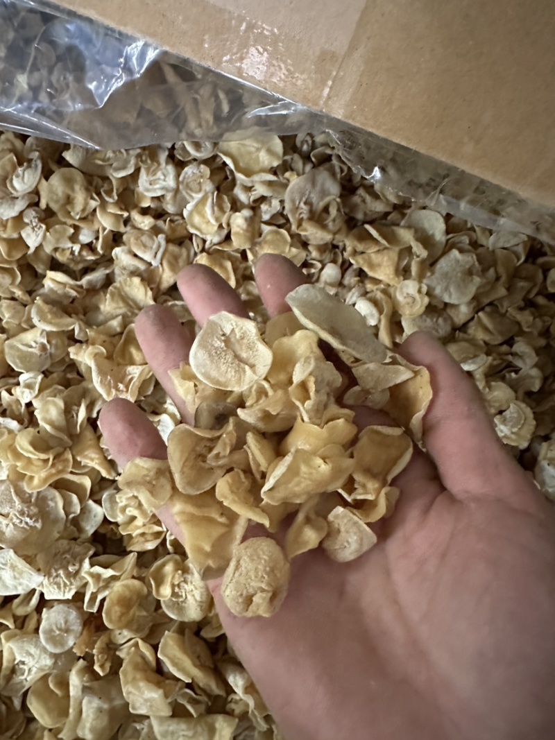 新货白玉木耳肉厚无根洁白，一件代发，电商，跑摊，零卖，