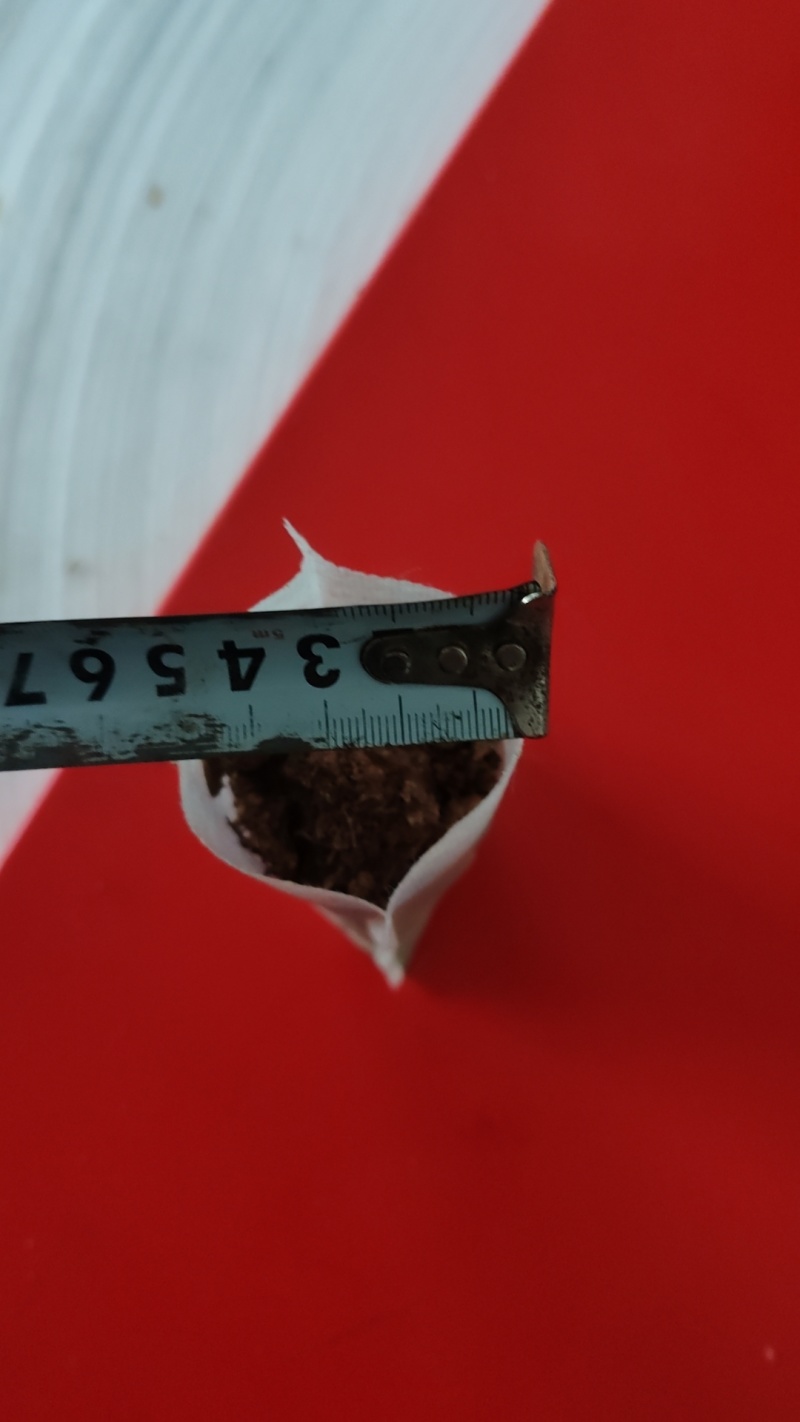 无纺布育苗袋营养钵果蔬育苗营养杯源头工厂直接发货