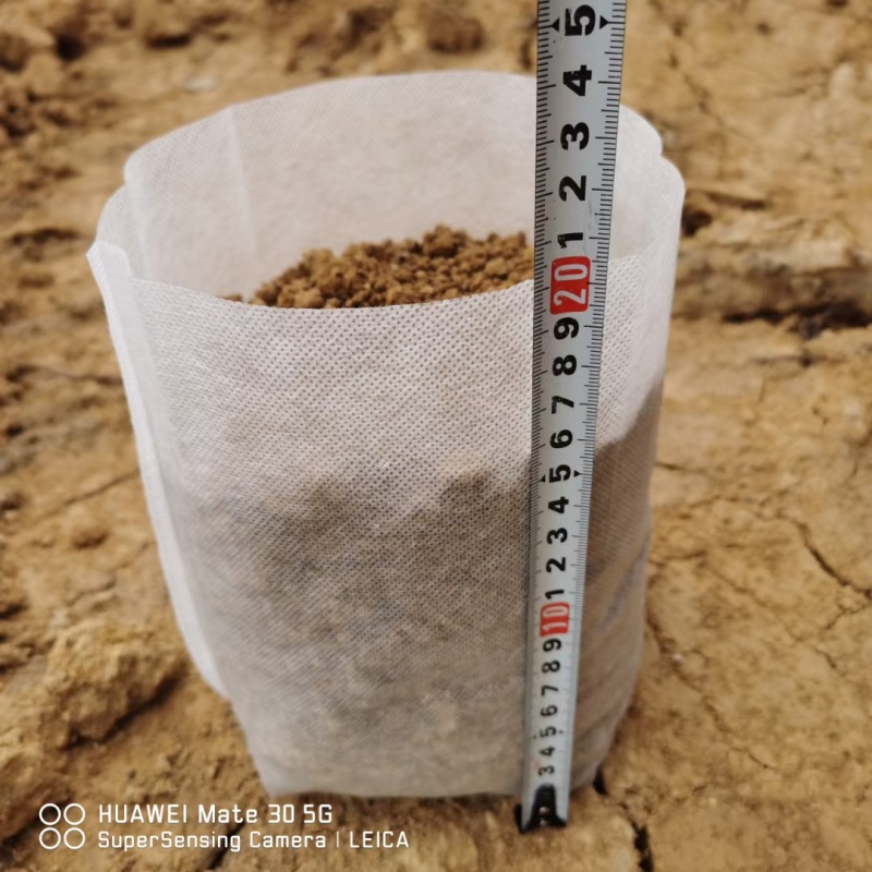 无纺布育苗袋营养钵果蔬育苗营养杯源头工厂直接发货