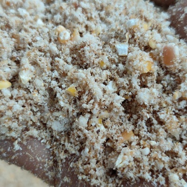 玉米发酵饲料