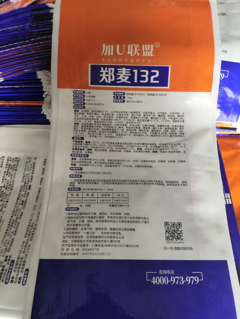 精选小麦种子，源头批发，郑麦132