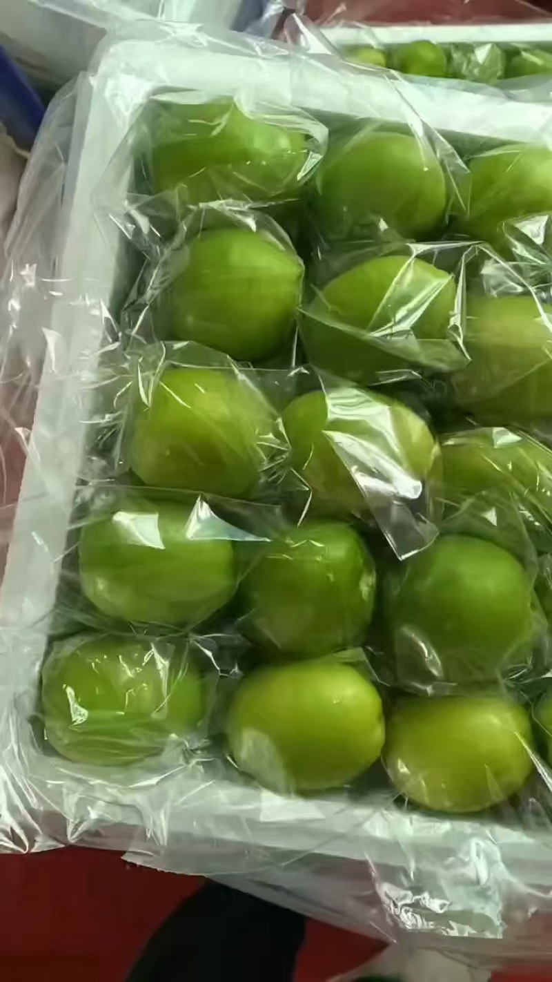 【青枣】元谋奶油青枣香甜可口货量充足大量共应市场，电商