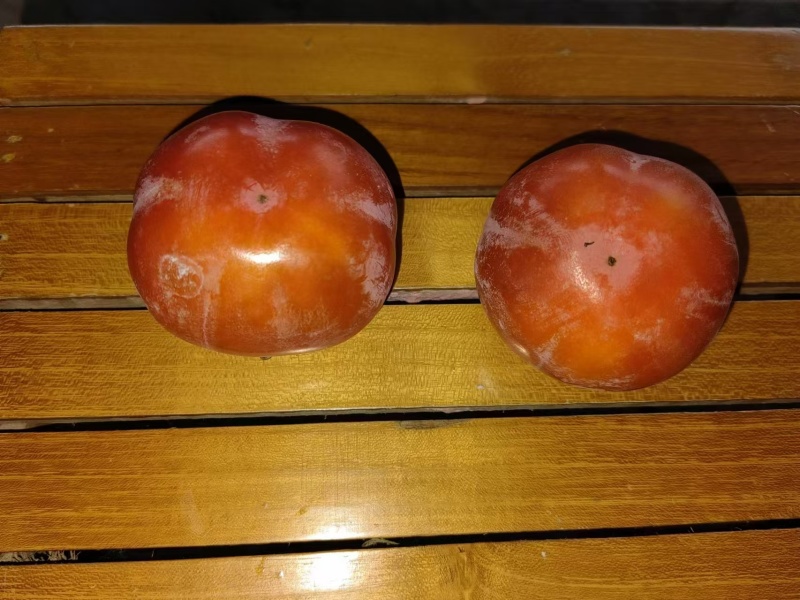 【推荐】红灯笼柿子一手货源供应市场商超电商量大价优