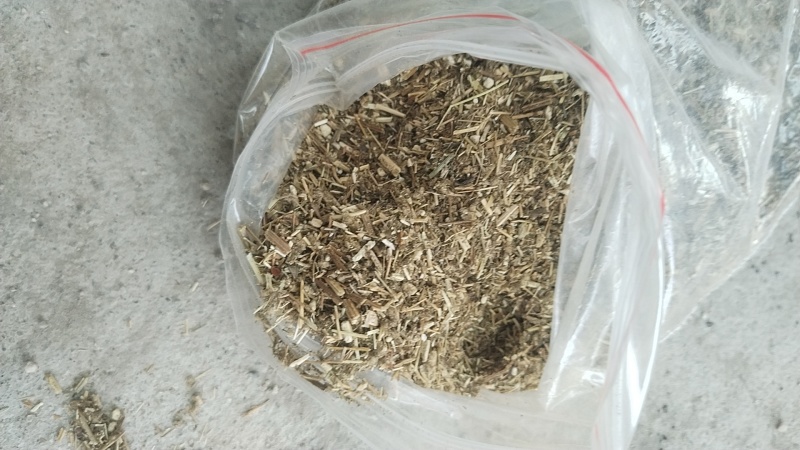 艾粉