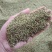 野生猫爪草种子三散草小毛茛材煲汤食用一年生草本植物种籽