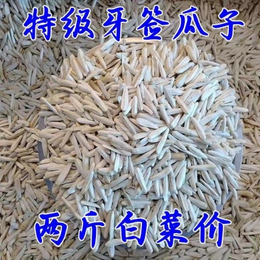 白牙签新疆牙签瓜子（大颗粒，口感好，皮薄肉香）