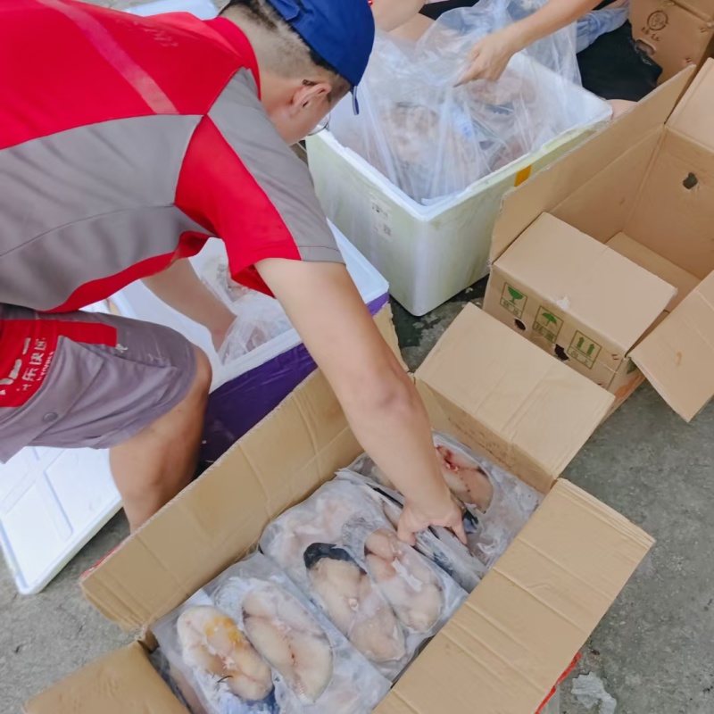 湛江一夜埕马鲛鱼纯中段