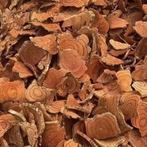 鸡血藤大量供应品质保障价格可谈欢迎选购