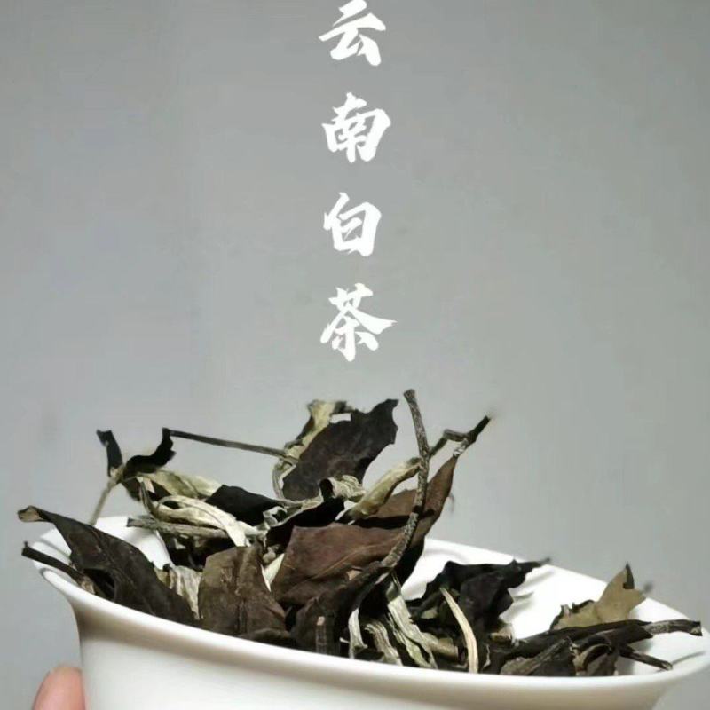 古树茶云南白茶散茶20斤起包邮