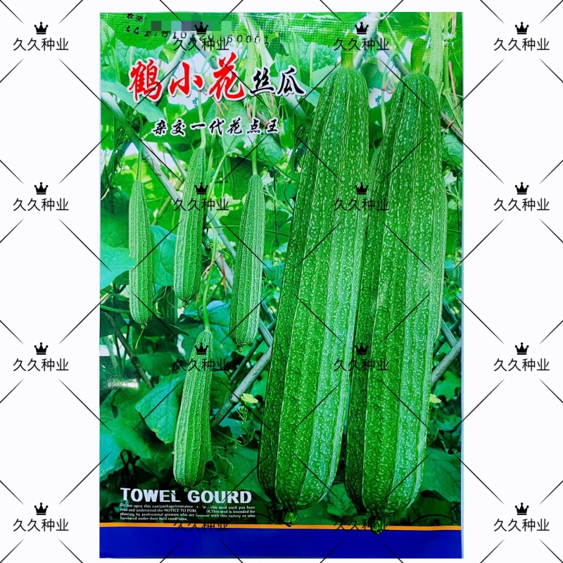 鹤小花丝瓜种子厚肉纤维少清香口感好耐热棱角种籽早熟大田种