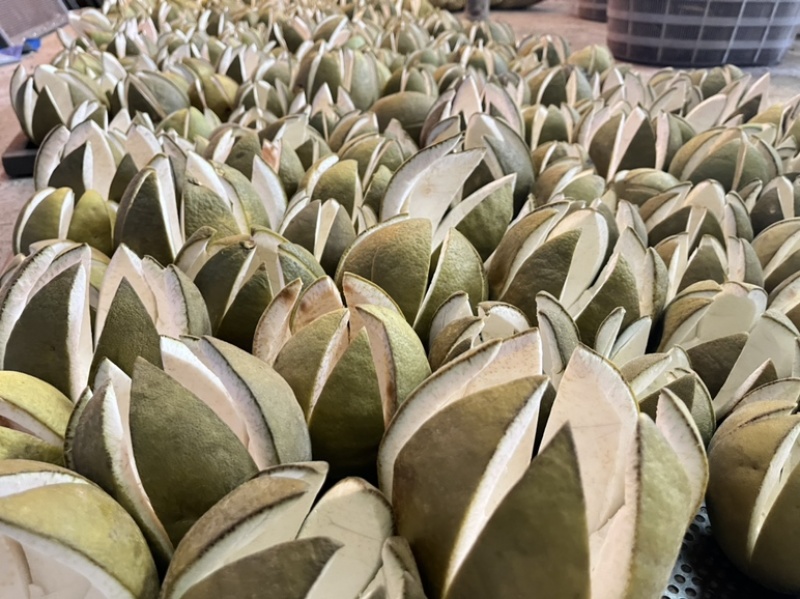 化橘红七爪化州厂家批发化州橘红皮