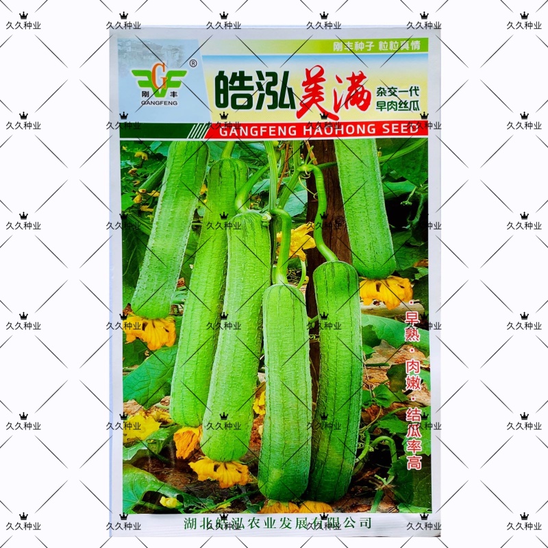 皓泓美满早肉丝瓜种子早熟高产抗病肉质白嫩纤维少耐老丝瓜种