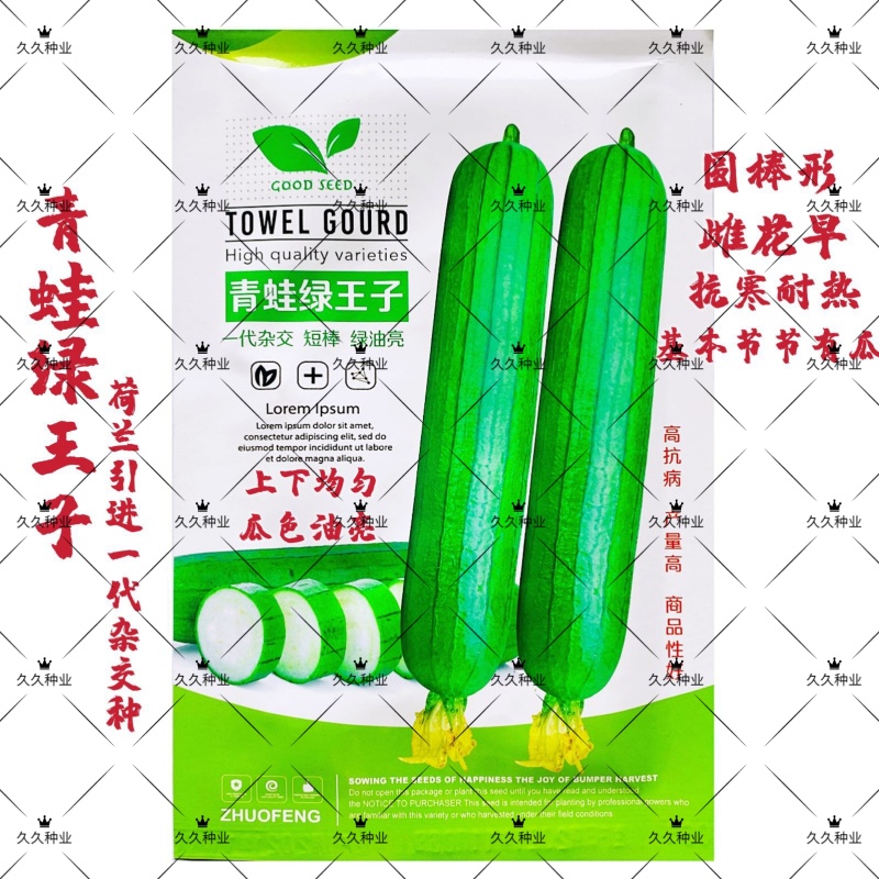 青蛙绿王子杂交一代短棒油亮油绿丝瓜种籽节节有瓜抗寒耐